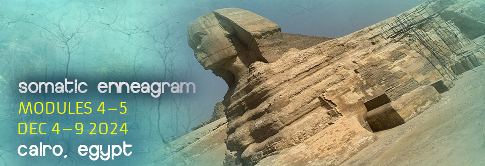 Somatic Enneagram in Egypt | Modules 4-5